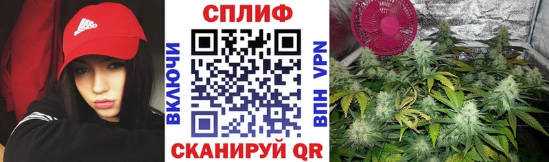 наркотики  Урень  Бошки марихуана семена 